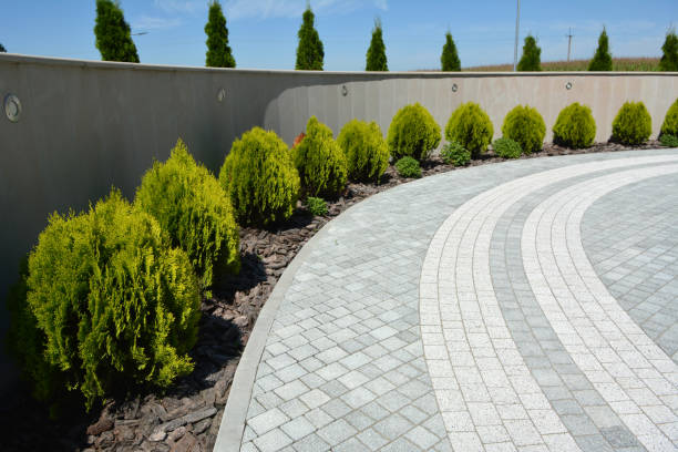Best Best Driveway Pavers  in Hercules, CA